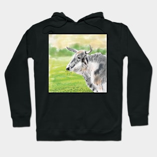 Bulky the Bull Hoodie